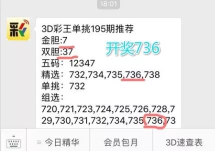 王中王一肖中特4993，深度解析與探索，王中王一肖中特4993深度解析與探索報(bào)告