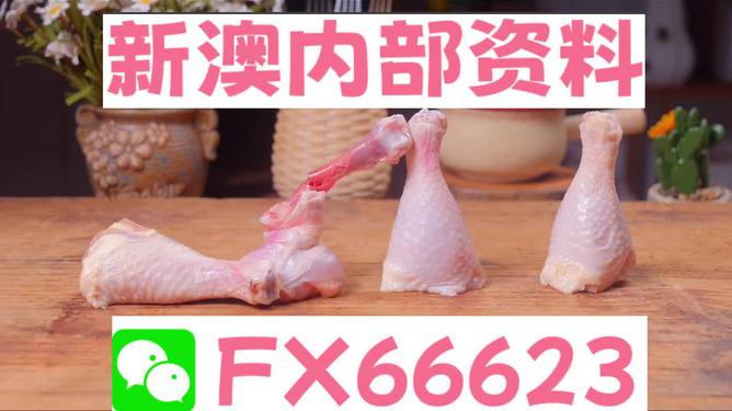 澳門一碼中精準一碼免費中特論壇，探索精準預測的魅力與優(yōu)勢，澳門一碼精準預測探索論壇，優(yōu)勢與魅力展現(xiàn)