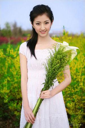 新澳門生肖走勢圖精準(zhǔn)版，解讀與SEO策略，新澳門生肖走勢圖精準(zhǔn)解讀與SEO策略揭秘