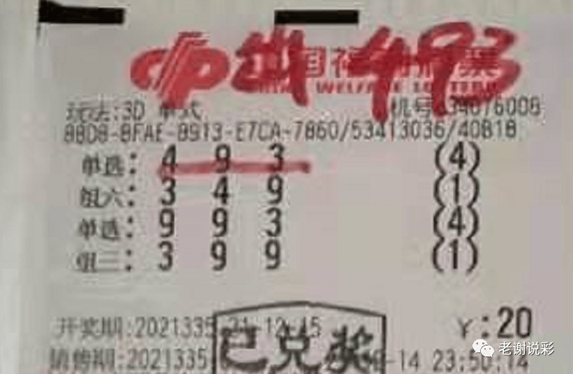 新奧門(mén)彩天天開(kāi)獎(jiǎng)資料一網(wǎng)羅萬(wàn)象，揭秘彩票奧秘，揭秘彩票奧秘，新奧門(mén)彩天天開(kāi)獎(jiǎng)資料一網(wǎng)羅萬(wàn)象