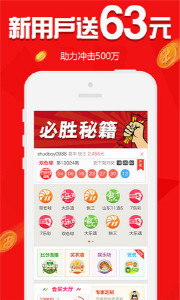 王中王欲錢請猜一肖，揭秘生肖之謎與SEO策略，揭秘生肖之謎與SEO策略，王中王欲錢請猜一肖的奧秘