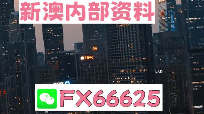 澳門跑狗，探索與解析，澳門跑狗，探索與解析之道