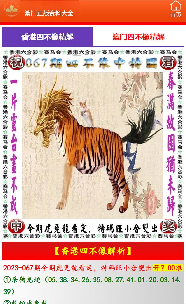 澳門必開一肖中特，揭秘生肖彩票的魅力與策略，揭秘澳門生肖彩票的魅力，必開一肖中特與策略解析