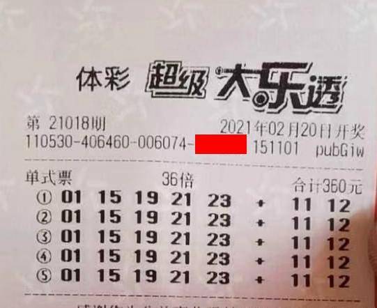 王中王018期指一生肖，揭秘背后的奧秘與意義，揭秘生肖奧秘，王中王生肖背后的意義與秘密