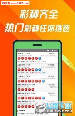 揭秘660678C0m王中王三肖一碼，真相與奧秘，揭秘，王中王三肖一碼真相與奧秘探索