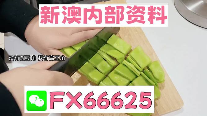 新澳精選資料免費(fèi)提供，探索優(yōu)質(zhì)資源的海洋，新澳精選資料免費(fèi)探索，優(yōu)質(zhì)資源海洋的開啟