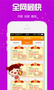 王中王314期指一生肖，深度解讀與SEO優(yōu)化策略，王中王314期生肖深度解讀與SEO策略優(yōu)化指南