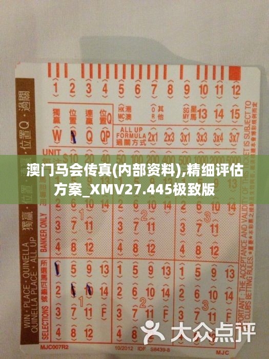 馬會傳真正版，探索正版馬會文化的魅力與價值，正版馬會文化的魅力與價值探索
