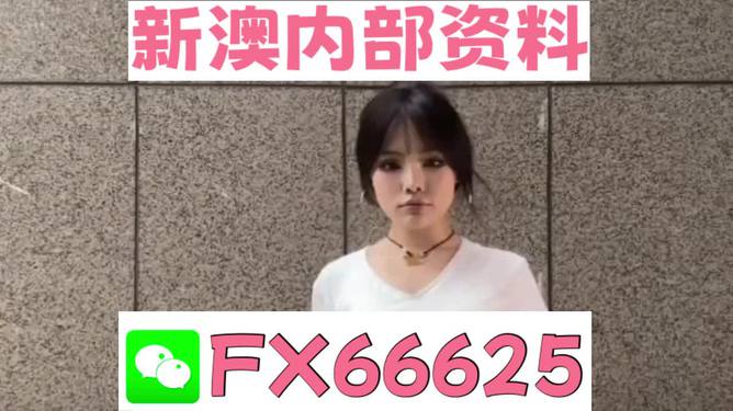 澳門正版資料大全完整版，探索與揭秘2025年澳門正版資料的世界，澳門正版資料大全揭秘，探索未來至2025年的奧秘世界