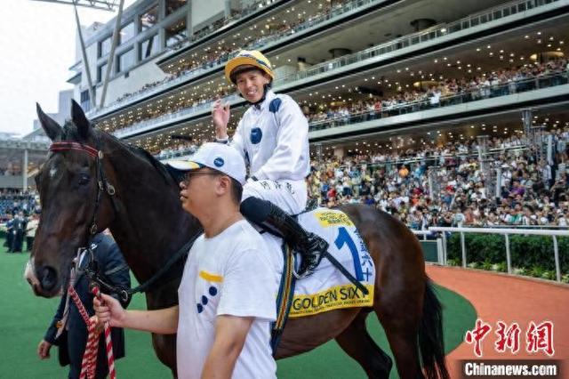 香港特馬王資料免費公開，揭秘背后的秘密，香港特馬王資料揭秘，免費公開背后的秘密