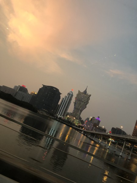 澳門今晚必開一肖一特，深度解析與預(yù)測，澳門今晚生肖特碼深度解析與預(yù)測，一肖一特必開趨勢探討