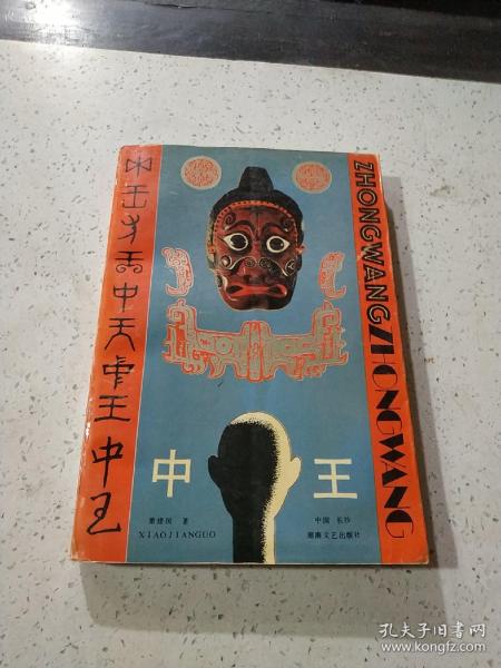 王中王資料與肖中特，深度解析，王中王資料與肖中特深度剖析
