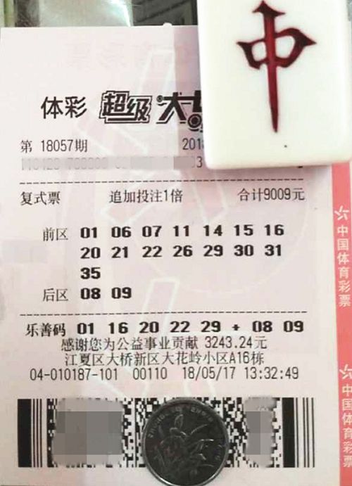 澳門六開彩天天開獎結(jié)果查詢，輕松掌握最新動態(tài)，澳門六開彩最新開獎結(jié)果查詢，輕松掌握每日動態(tài)