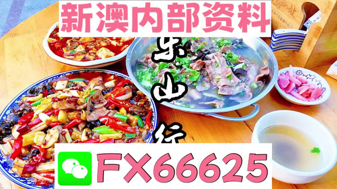 新澳全年免費資料大全——探索與學習的不竭源泉，新澳全年免費資料大全，無盡的學習資源寶庫