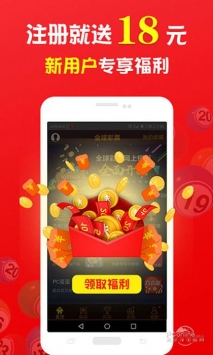王中王一肖中打一，深度解析一種獨特的文化現(xiàn)象，王中王一肖中打一，獨特文化現(xiàn)象的深度探究
