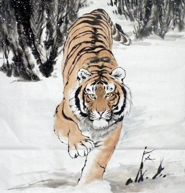 猛虎下山王中王，揭秘一生肖的神秘魅力，揭秘生肖之王——猛虎下山之神秘魅力