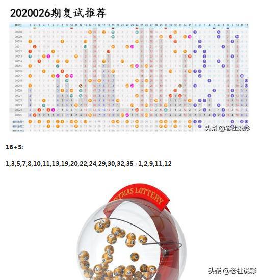 王中王026期指一生肖，深度解讀與SEO優(yōu)化策略，王中王026期生肖深度解讀與SEO優(yōu)化策略全解析
