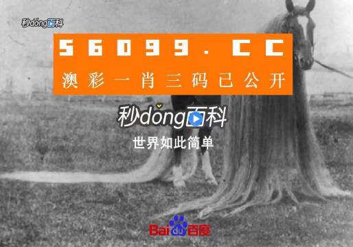 澳門一肖一碼一必中一肖舟山，揭秘彩票秘密，掌握幸運之鑰，揭秘彩票秘密，澳門一肖一碼必中秘籍與幸運之鑰在舟山開啟