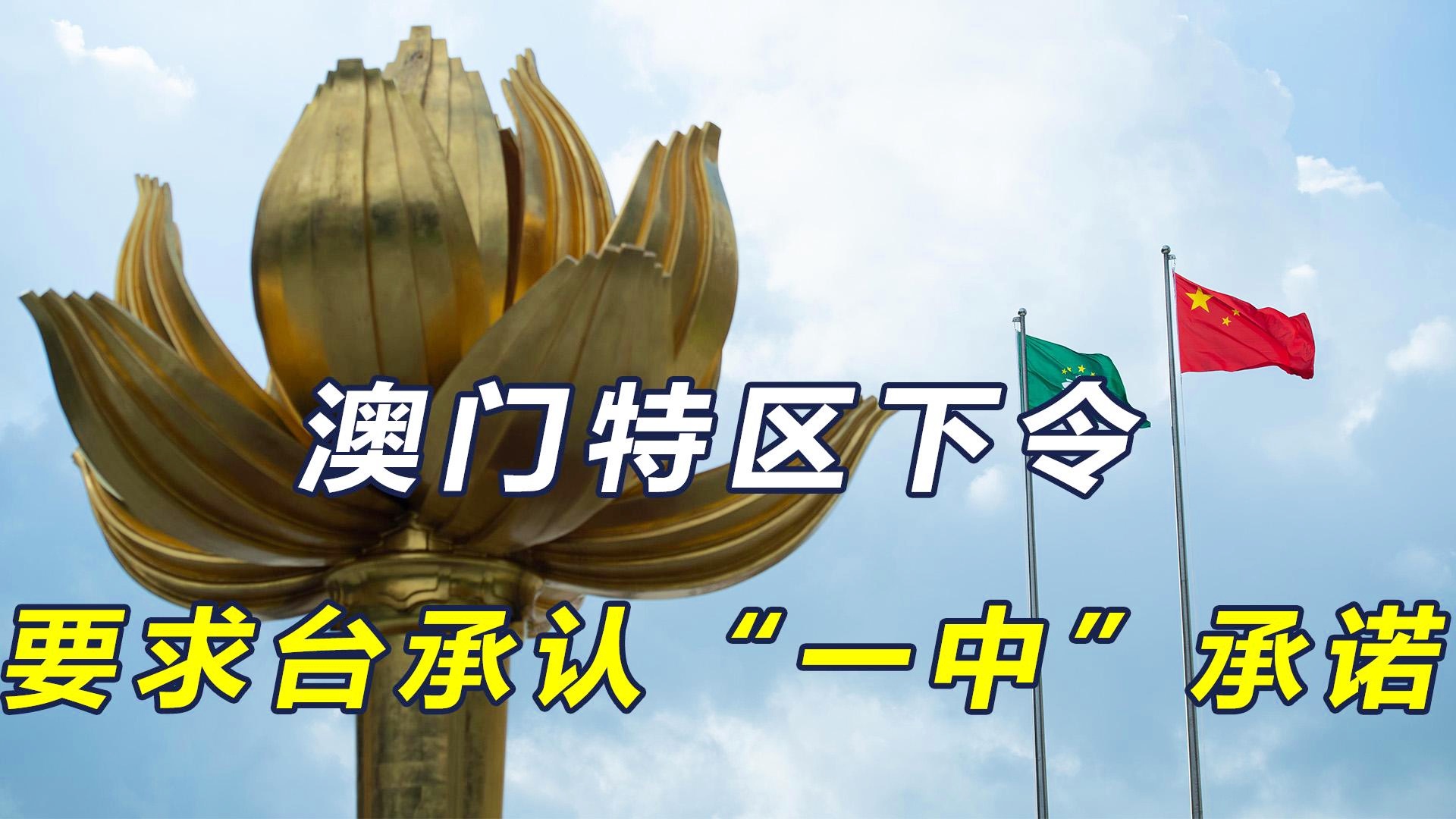 澳門(mén)一碼一肖一特一中今晚預(yù)測(cè)與探索，澳門(mén)今晚一碼一肖一特一中預(yù)測(cè)與揭秘