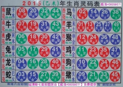 揭秘2025十二生肖與數(shù)字彩票的神奇聯(lián)系——49碼表全解析，揭秘十二生肖與數(shù)字彩票的神秘聯(lián)系，2025年49碼表深度解析
