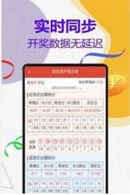 澳門王中王計劃平特一肖，揭秘與探索，澳門王中王計劃揭秘，平特一肖的秘密探索