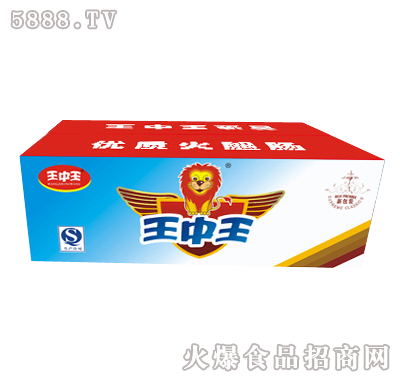 王中王一肖特圖，揭秘背后的故事與魅力，揭秘王中王一肖特圖的背后故事與魅力