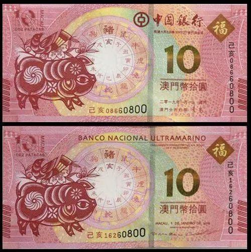 澳門天天彩期期精準十二生肖預測——揭秘彩票背后的秘密，澳門天天彩期期精準十二生肖預測，彩票背后的秘密大揭秘