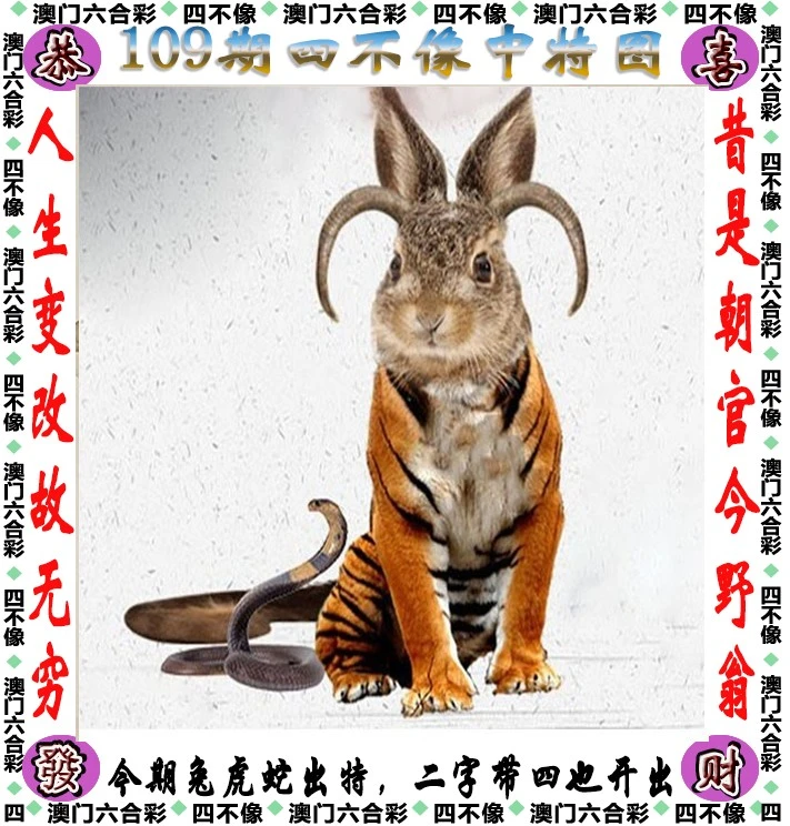 四不像王中王資料一肖，深度解析與探索，四不像王中王資料一肖，深度解析與探索揭秘