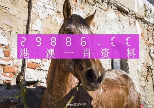 王中王資料一門(mén)肖中，深度解析與探索，王中王資料一門(mén)肖詳解，深度解析與探索