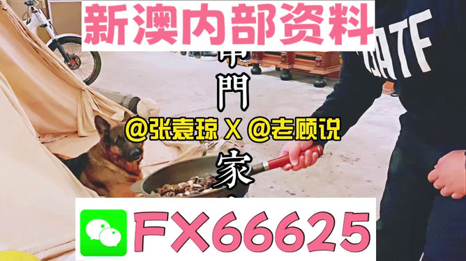 新澳門(mén)精準(zhǔn)資料大全，管家婆料解析與探索，澳門(mén)精準(zhǔn)資料大全，管家婆料解析與深度探索