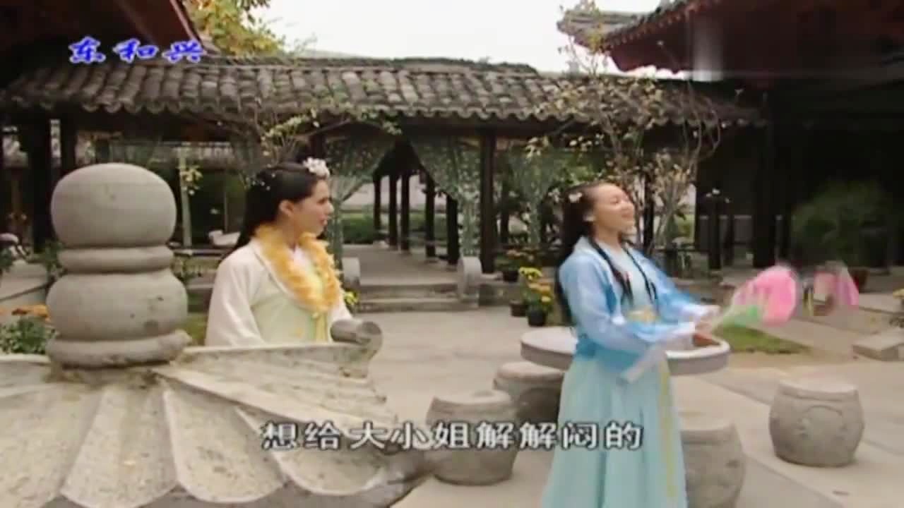 劉伯溫白小姐一肖期期準(zhǔn)，神秘預(yù)測(cè)背后的真相，劉伯溫白小姐生肖預(yù)測(cè)揭秘，神秘預(yù)測(cè)背后的真相