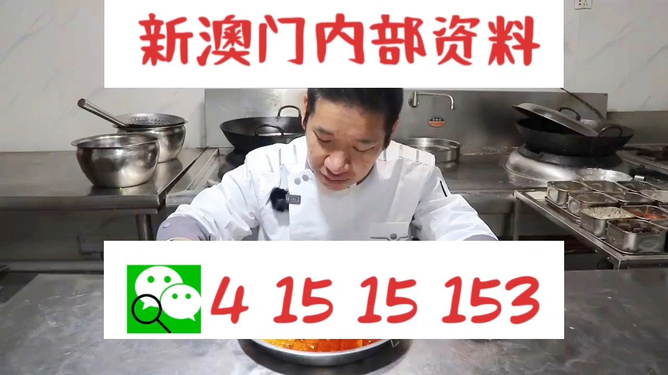 管家婆一肖資料大全，深度解析與探索，管家婆一肖資料深度解析與探索大全