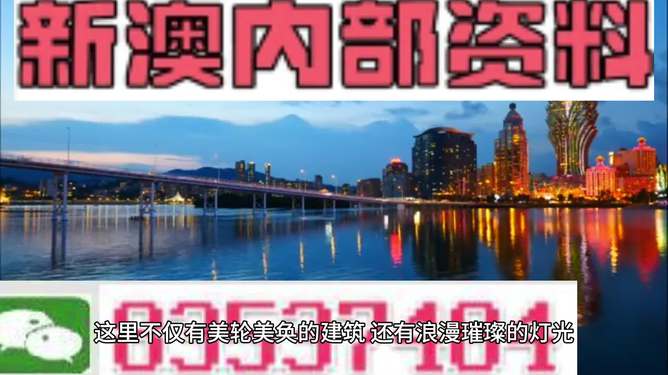新澳新澳門正版資料，探索與解析，新澳新澳門正版資料深度解析與探索