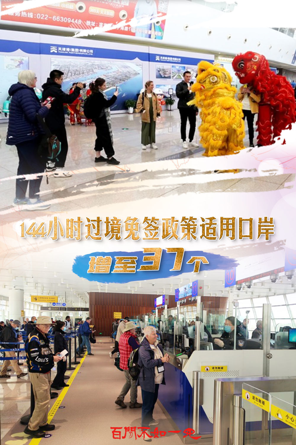揭秘王中王一碼一肖一特一中，背后的秘密與玄機，揭秘王中王一碼一肖一特一中，背后的秘密與玄機揭秘真相