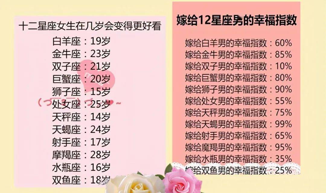 王中王十二生肖所屬之肖解析，王中王十二生肖解析揭秘