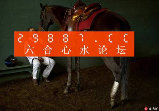 一肖一馬王中王一馬中特，深度解析與SEO優(yōu)化策略，一肖一馬王中王深度解析與SEO優(yōu)化策略探討