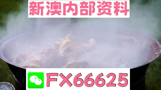新澳全年免費(fèi)資料大全，一站式獲取優(yōu)質(zhì)資源指南，新澳全年優(yōu)質(zhì)資源免費(fèi)獲取指南