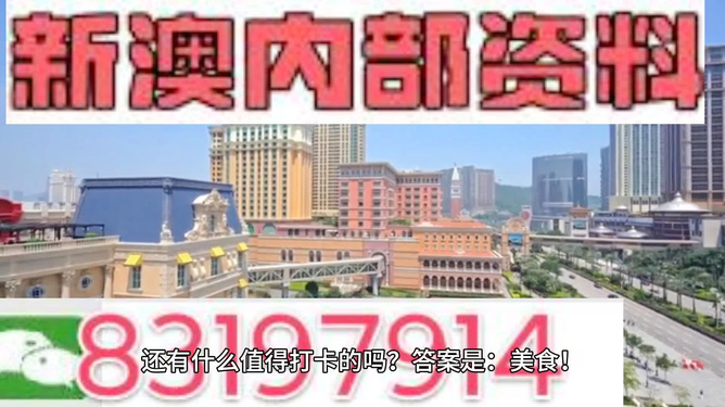 澳門彩天天精準資料大全——探索彩票世界的秘密，澳門彩天天精準資料大全，揭秘彩票世界的奧秘