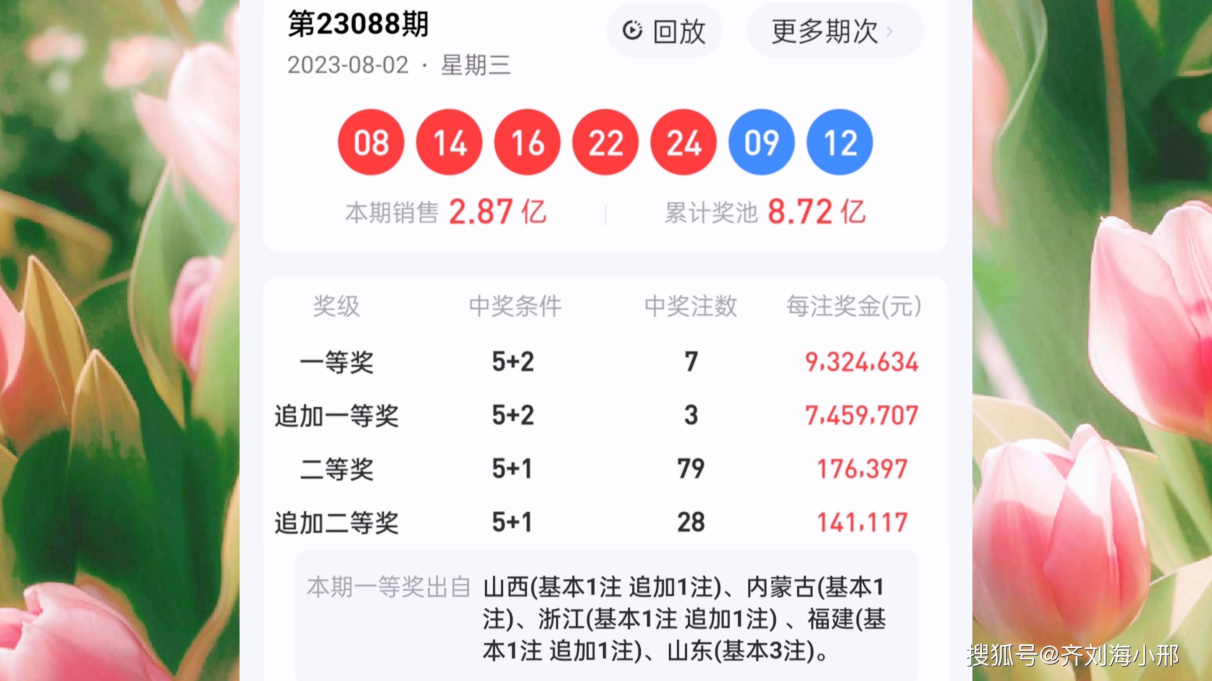 最新開獎結果揭曉，王中王與一肖中的幸運時刻，王中王與一肖中幸運時刻揭曉，最新開獎結果出爐