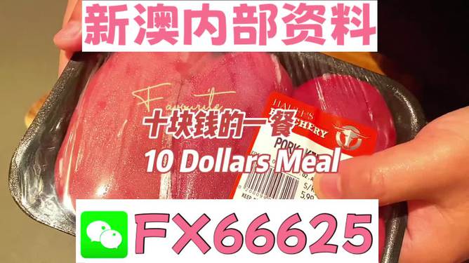 揭秘2025新奧精準正版資料，全方位解讀與SEO優(yōu)化策略，揭秘2025新奧精準正版資料，全方位解讀與SEO策略優(yōu)化指南