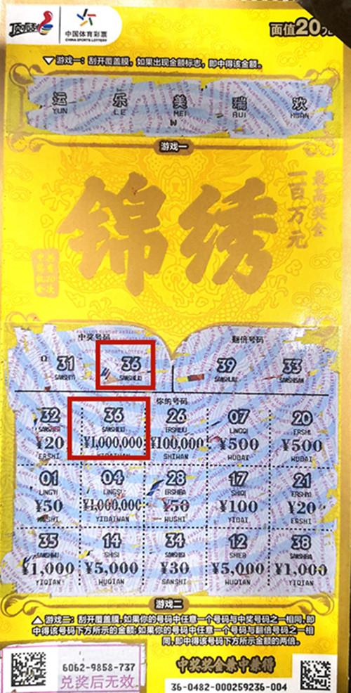 王中王六肖一碼期期中的奧秘與探索，王中王六肖一碼期奧秘揭秘與探索