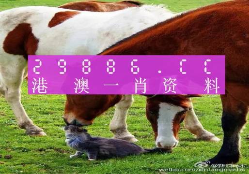 新奧門一肖一碼，揭秘精準(zhǔn)預(yù)測(cè)的秘密，揭秘新澳門一肖一碼精準(zhǔn)預(yù)測(cè)的秘密