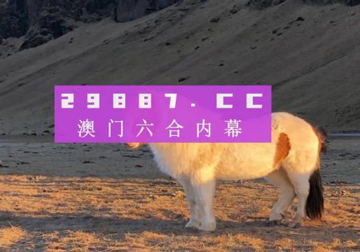 澳門彩六開獎(jiǎng)結(jié)果第52期，深度解析與預(yù)測分析，澳門彩六第52期開獎(jiǎng)結(jié)果深度解析與預(yù)測分析