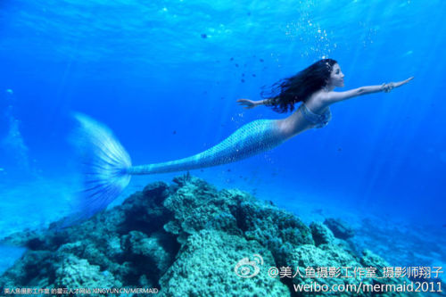 澳門美人魚最快開獎結(jié)果圖——揭秘?zé)衢T彩票游戲背后的秘密，澳門美人魚彩票開獎揭秘，最新結(jié)果圖與游戲背后秘密探索