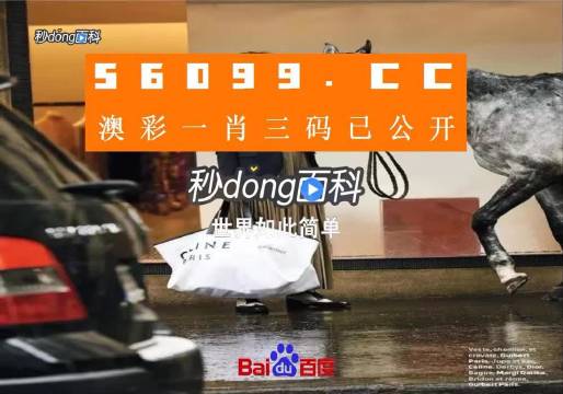 新澳一碼三中三資料，探索與解析，新澳一碼三中三資料解析與探索