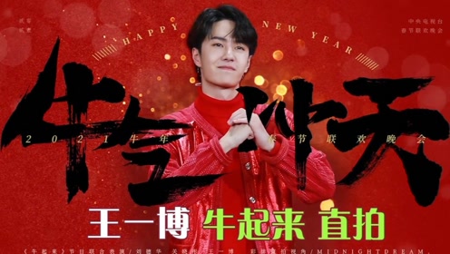 探尋王中王，揭秘發(fā)個王中王一肖中特背后的奧秘，揭秘王中王，探尋發(fā)個王中王一肖中特背后的神秘奧秘