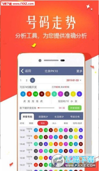 王中王四肖選一，揭秘選擇與優(yōu)化策略，王中王四肖選一，選擇與優(yōu)化策略的揭秘