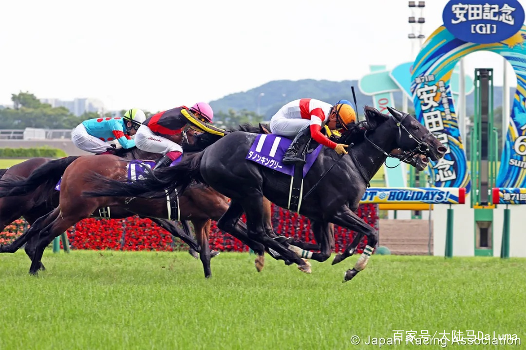 香港王中王與一馬中特肖的獨特魅力，深度解析與探索，香港王中王與一馬中特肖的獨特魅力，深度探索與解析