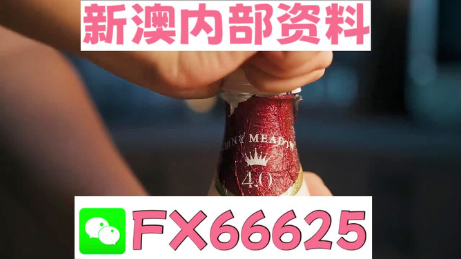 新澳門一碼一碼，揭秘精準預測的秘密與真相，揭秘澳門一碼一碼精準預測的秘密與真相