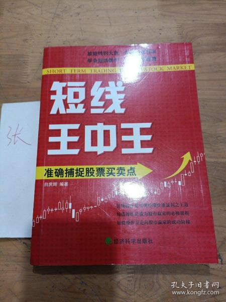 王中王平特一肖秀家網(wǎng)，深度解析與SEO優(yōu)化策略，王中王平特一肖秀家網(wǎng)，深度解析與SEO優(yōu)化策略指南